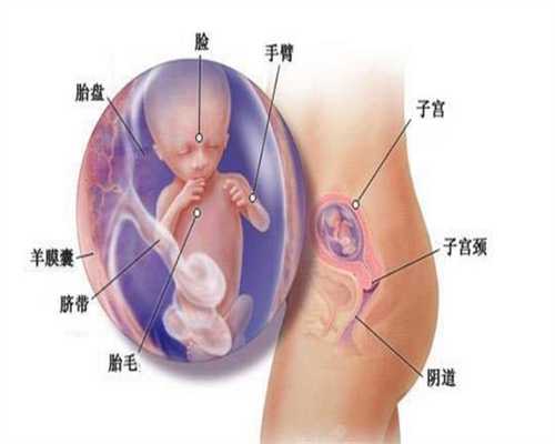 天津供卵费用_当心！宝宝身上的小红点可能是血管瘤！